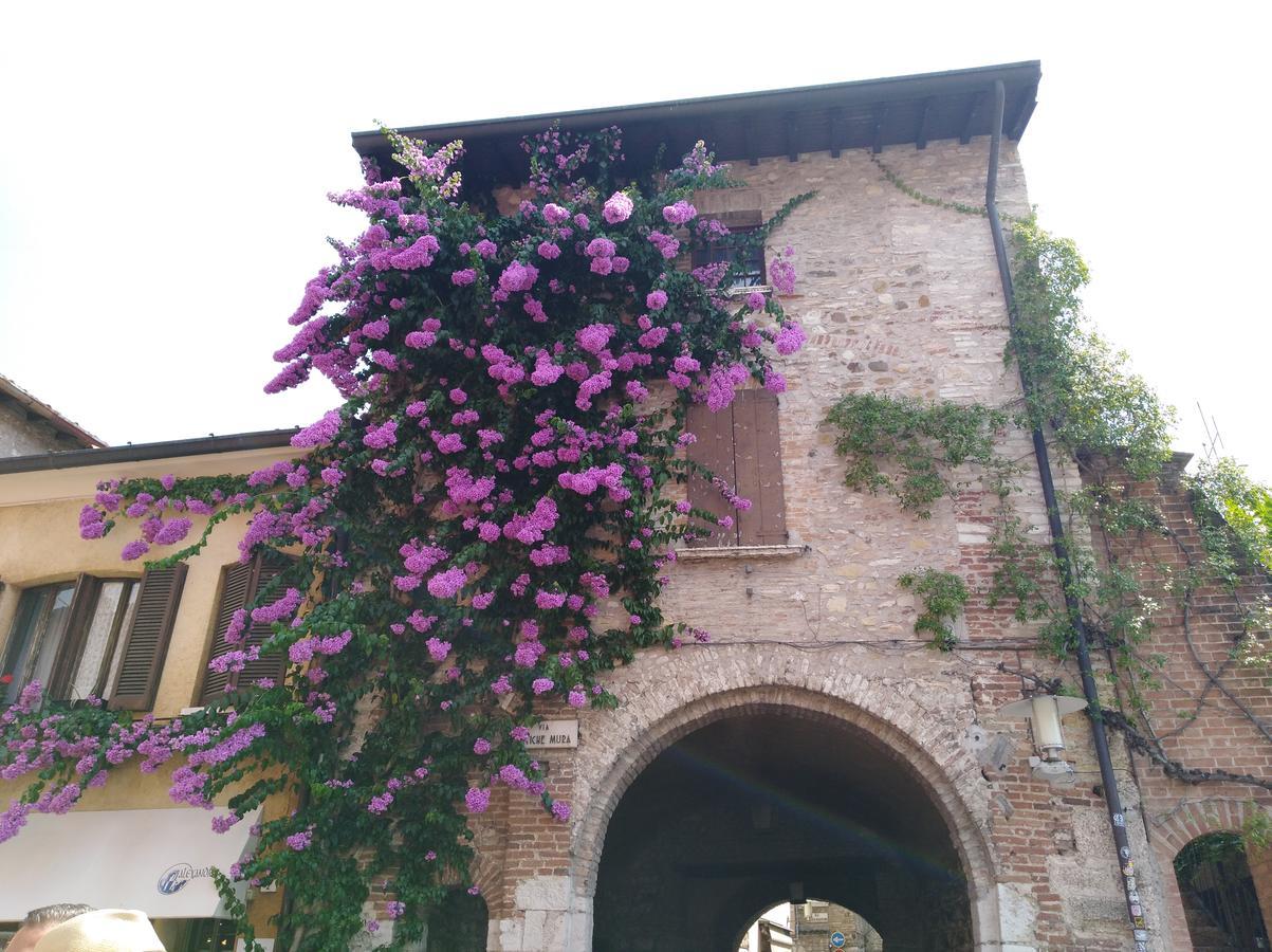 Villa Elisea Sirmione Exterior foto